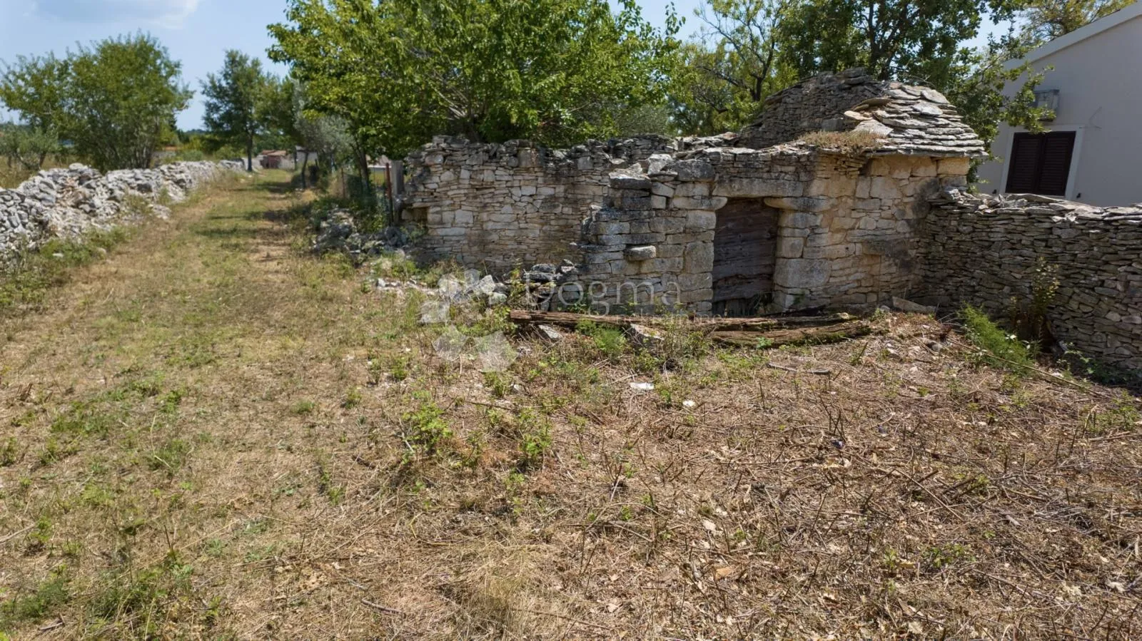 poljoprivredno zemljište s maslinikom u blizini vodnjana - slika 4