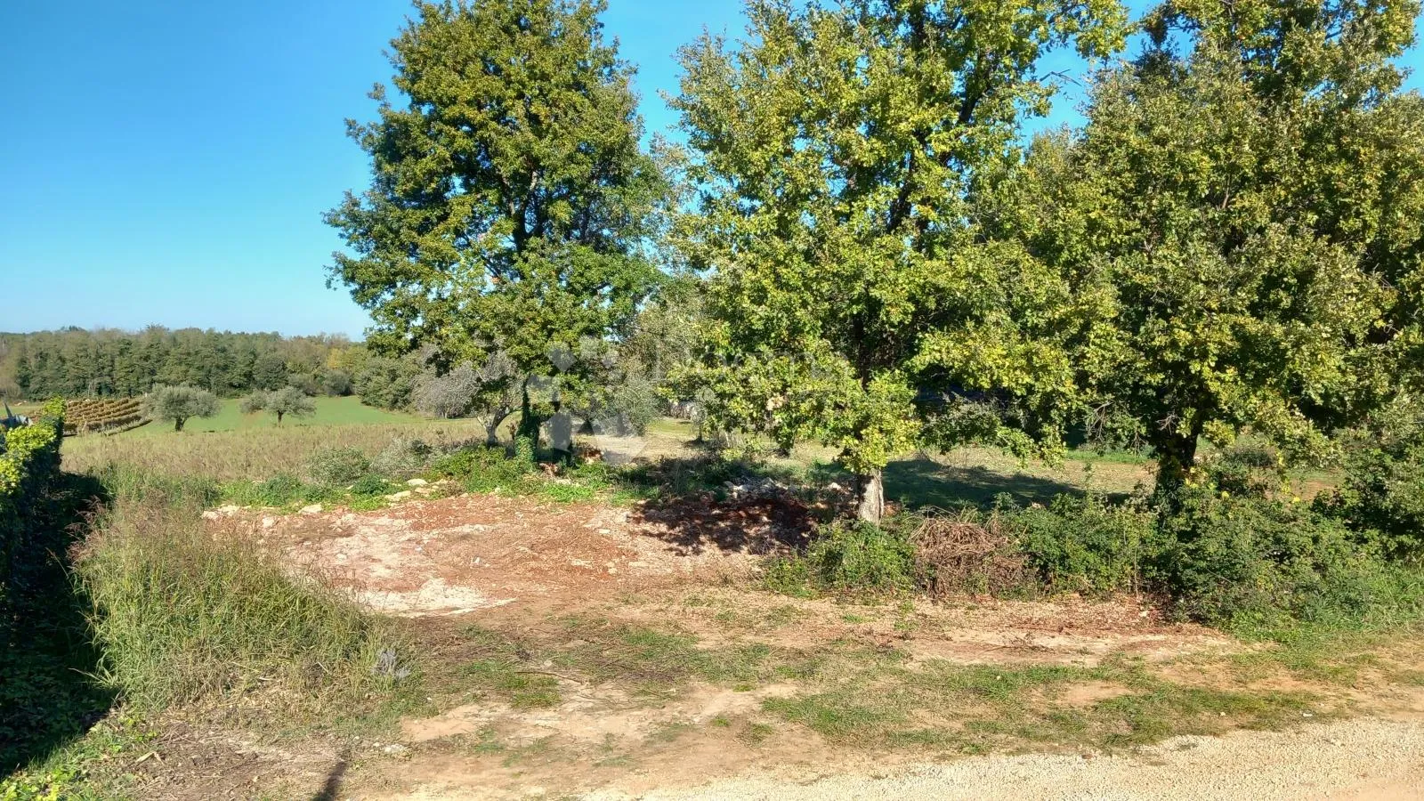 prostrana građevinska parcela s pogledom na more u mirnom susjedstvu - slika 10