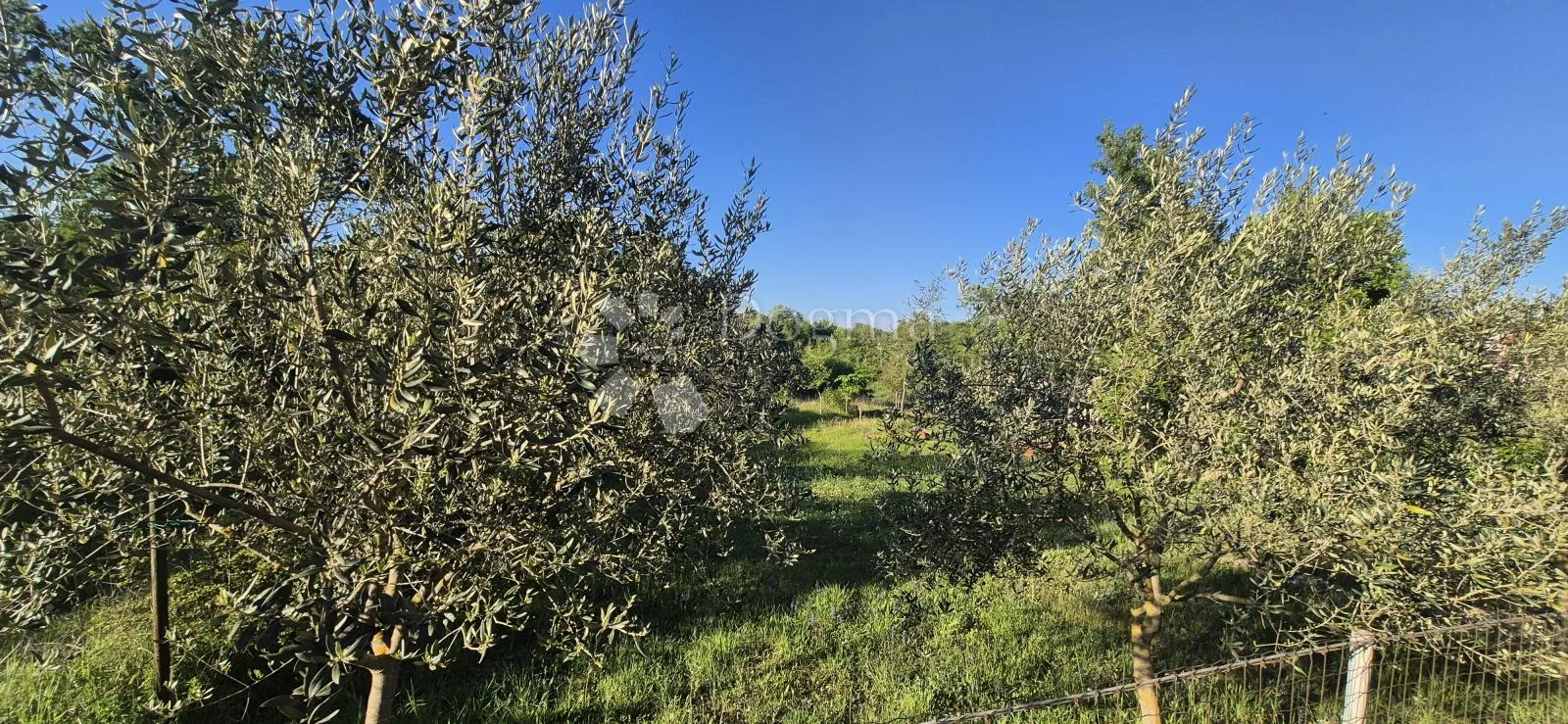 kombinirano građevinsko 950 m2 +poljoprivredno zemljište 1773 m2 - slika 36