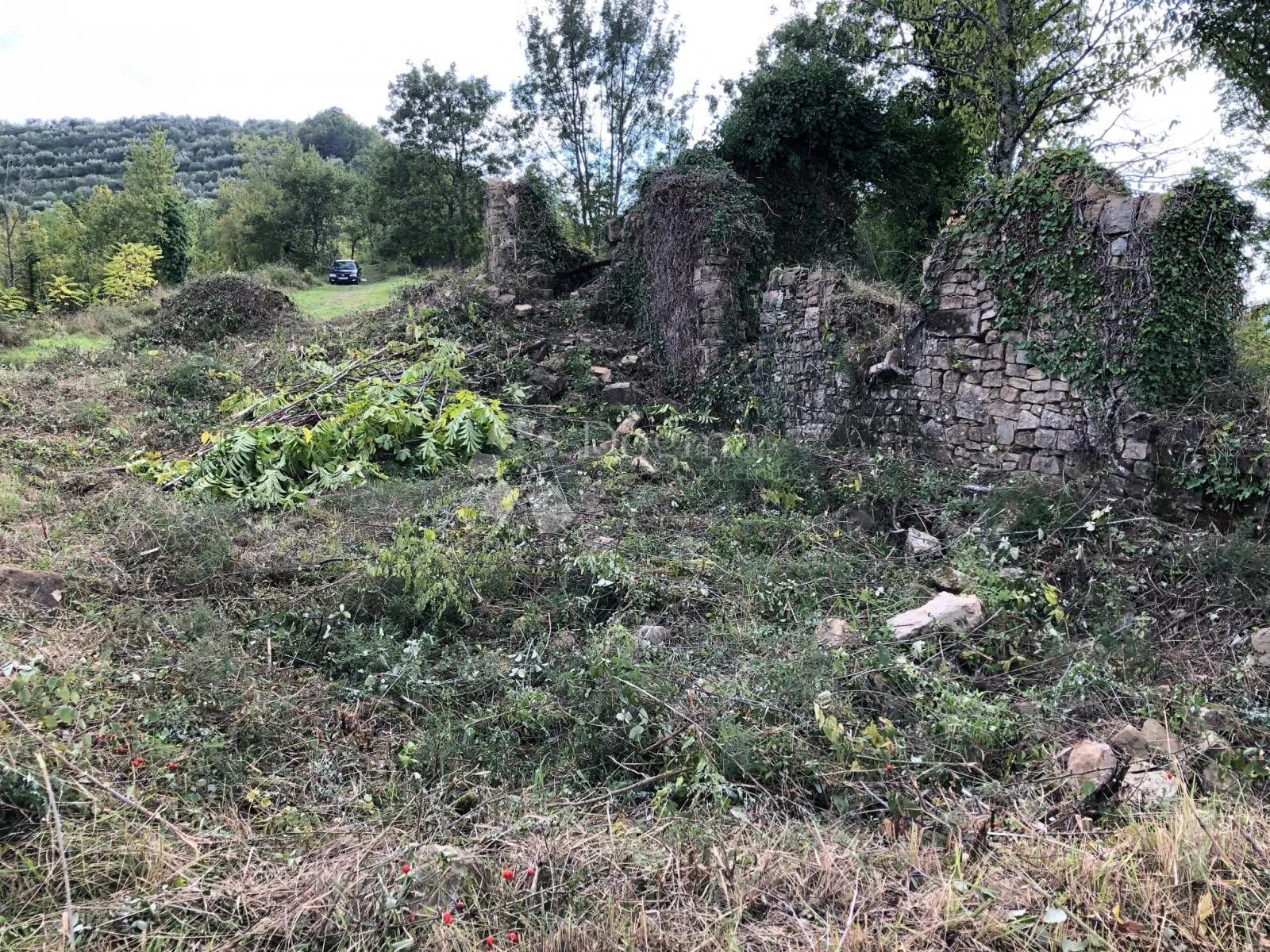 motovun - prekrasno imanje s panoramskim pogledom - slika 3