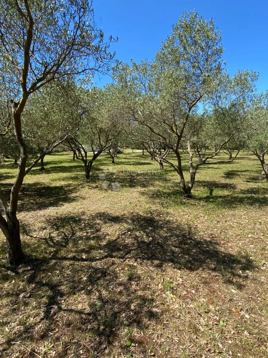 vaš privatni dašak mediterana nadomak centra peroja i plaže - slika 23