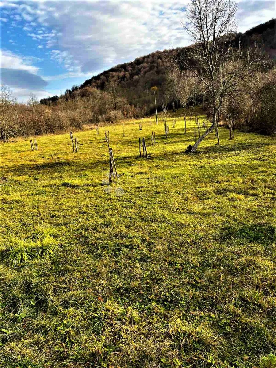 voćnjak iz snova 3.812 m² – boričevac - slika 3