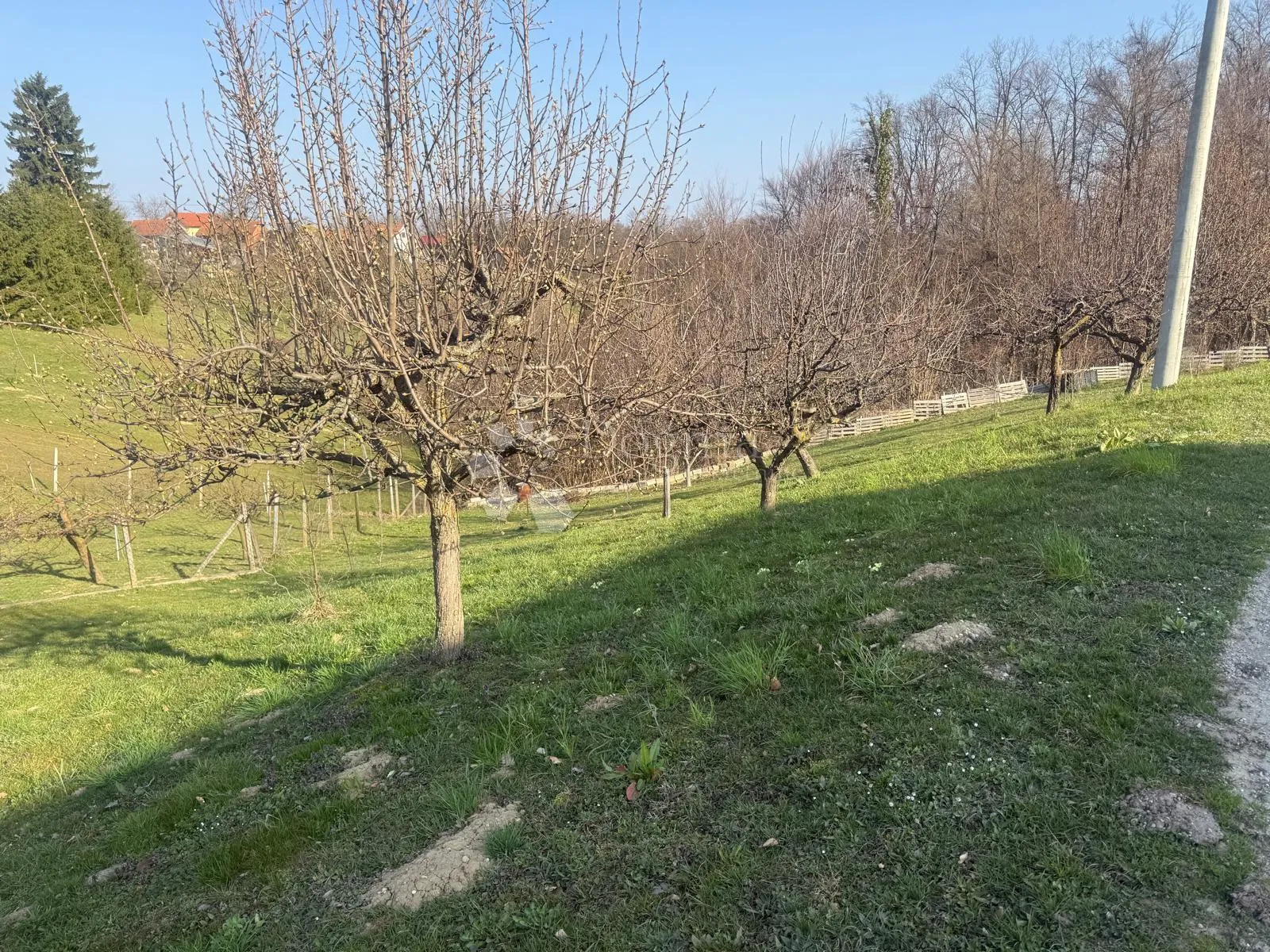 mir, priroda i 1245 m² za vaš dom - slika 5