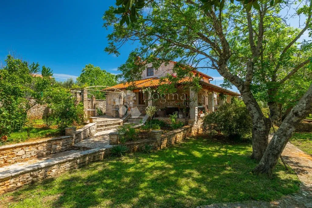 tradicionalna kamena kuća s konobom i maslinikom - slika 37