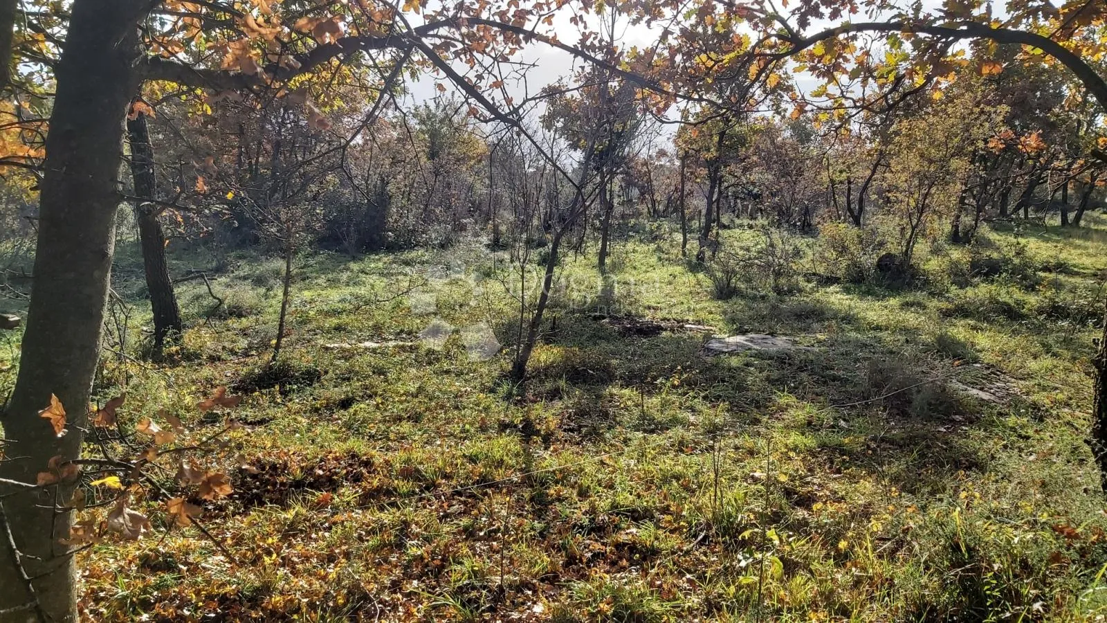 kombinirano zemljište sa otvorenim pogledom - slika 8