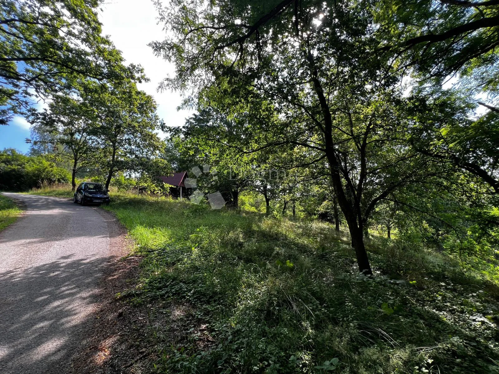 zemljište s projektom, pavučnjak, 1600m2 - slika 4