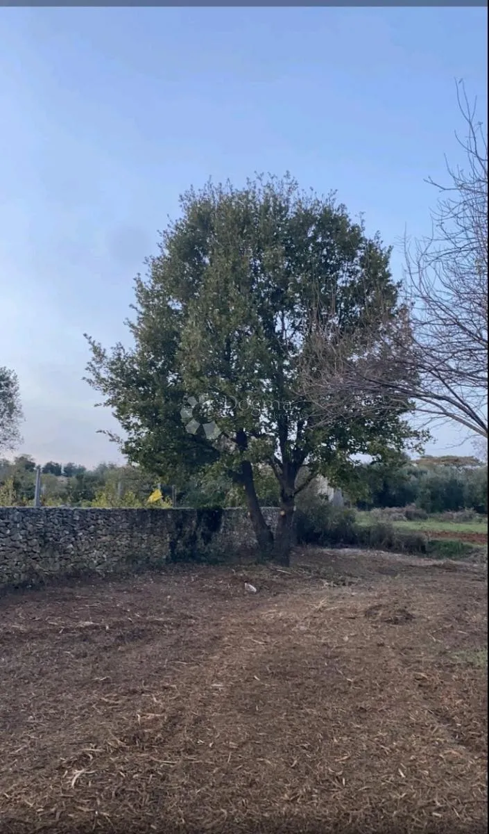 rakalj teren 1540m2 - slika 2