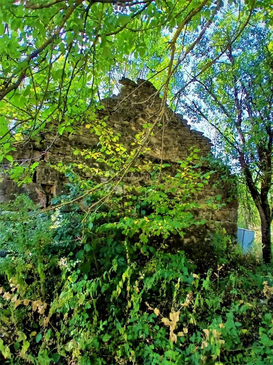 veliko zemljište 72.580 m² u dobroselu – priroda, mir i veliki potencijal - slika 3