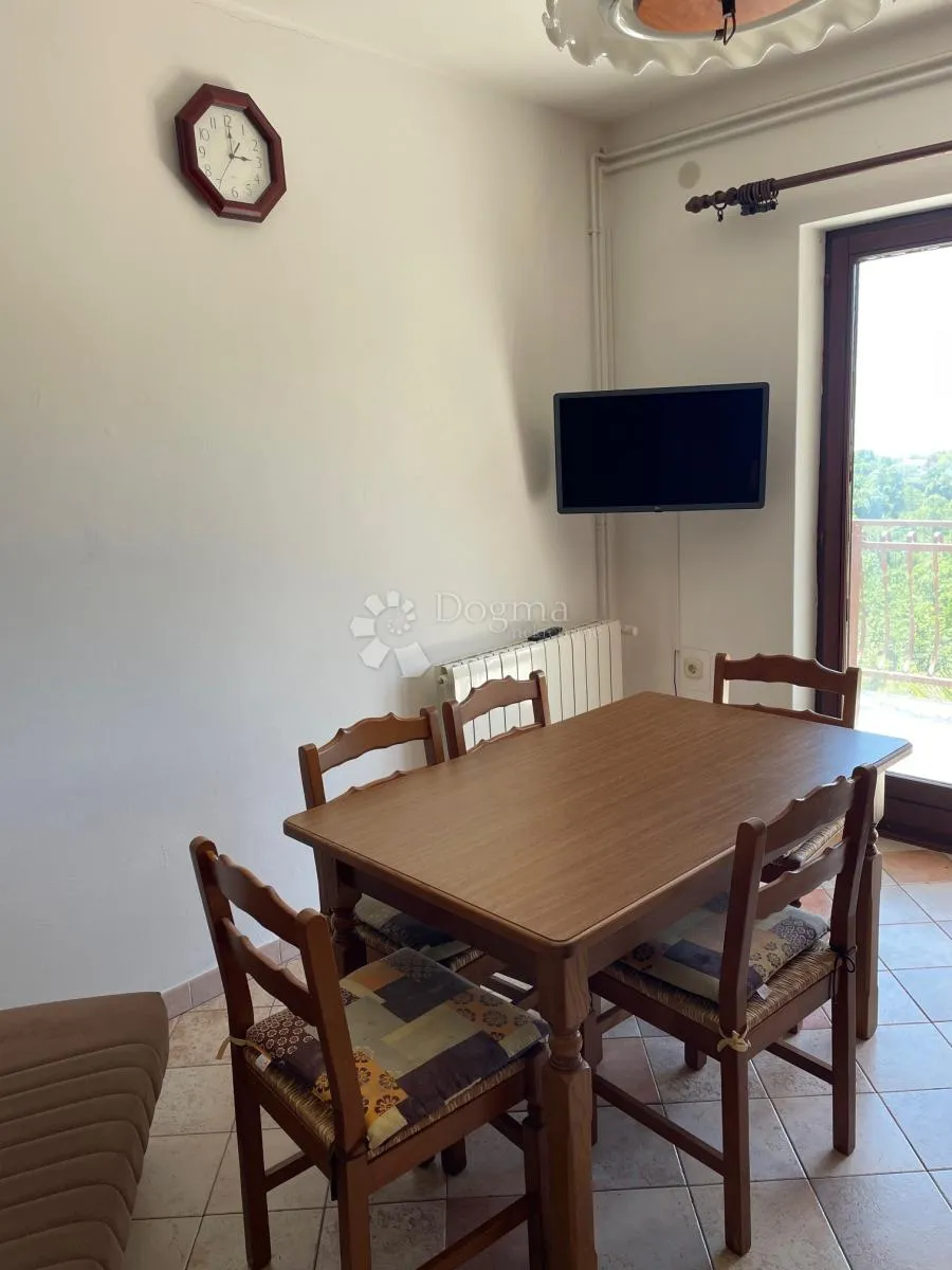 komadić raja koji traži pažnju - slika 7