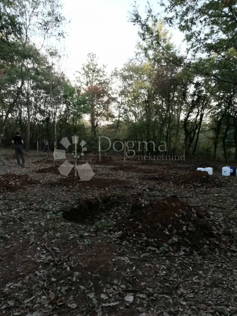 bokordići, svetivinčenat - poljoprovredni teren - slika 2