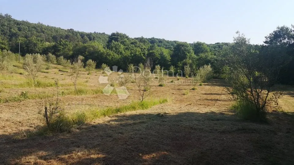 labin, okolica, imanje nadomak labina i mora - slika 4