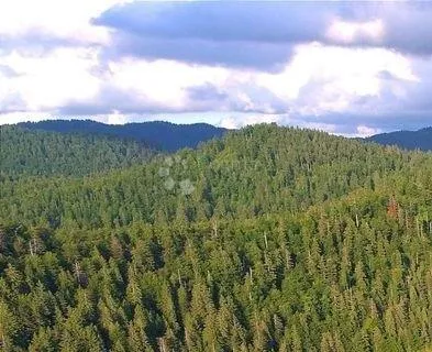 poljoprivredno zemljište u liču – 2.935 m², mirna lokacija - slika 2