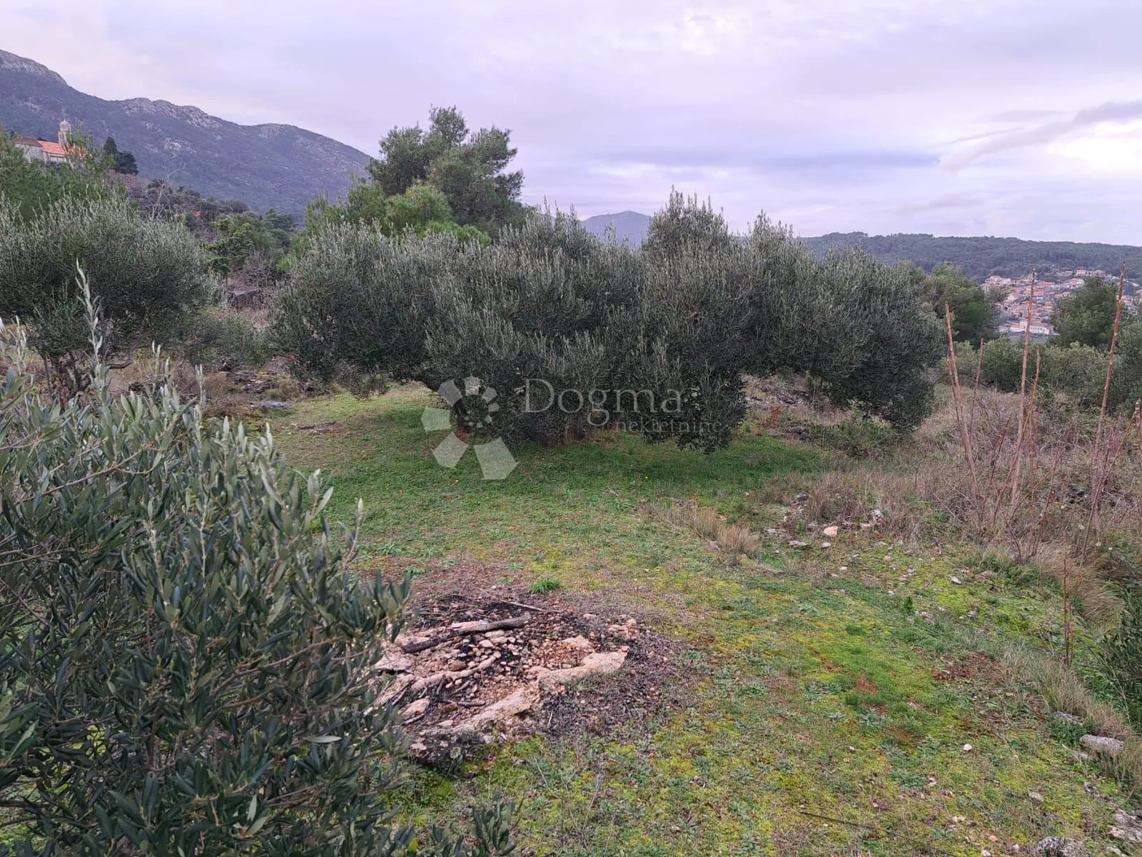 poljoprivredno zemljište hvar-jelsa 9500m2 - slika 2