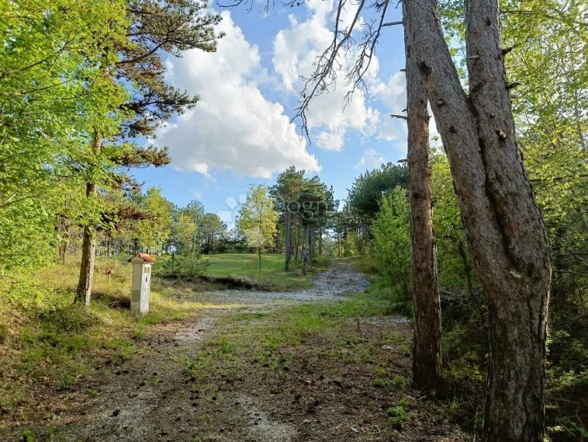 građevinsko zemljište (2000m2) s bogatom šumom (36789 m2) - slika 3