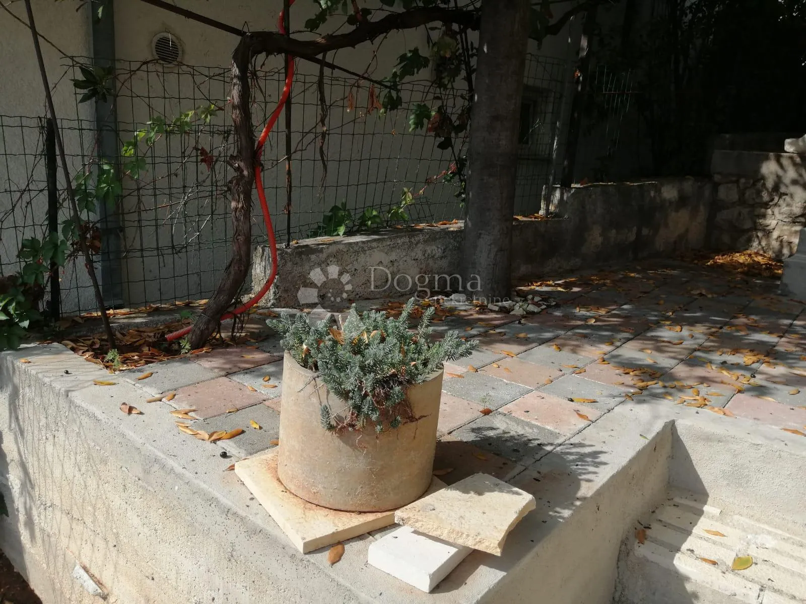 marina - kuća sa 4 apartmana i predivnim pogledom na more - slika 13