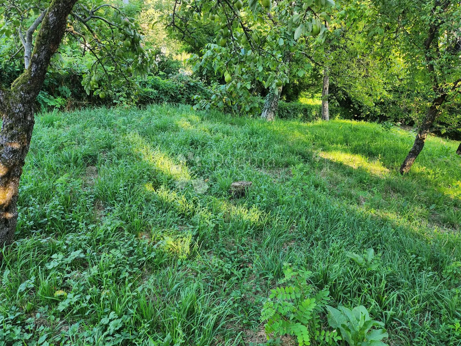 građevinsko zemljište 792m² samo 11 min od westgate - slika 2