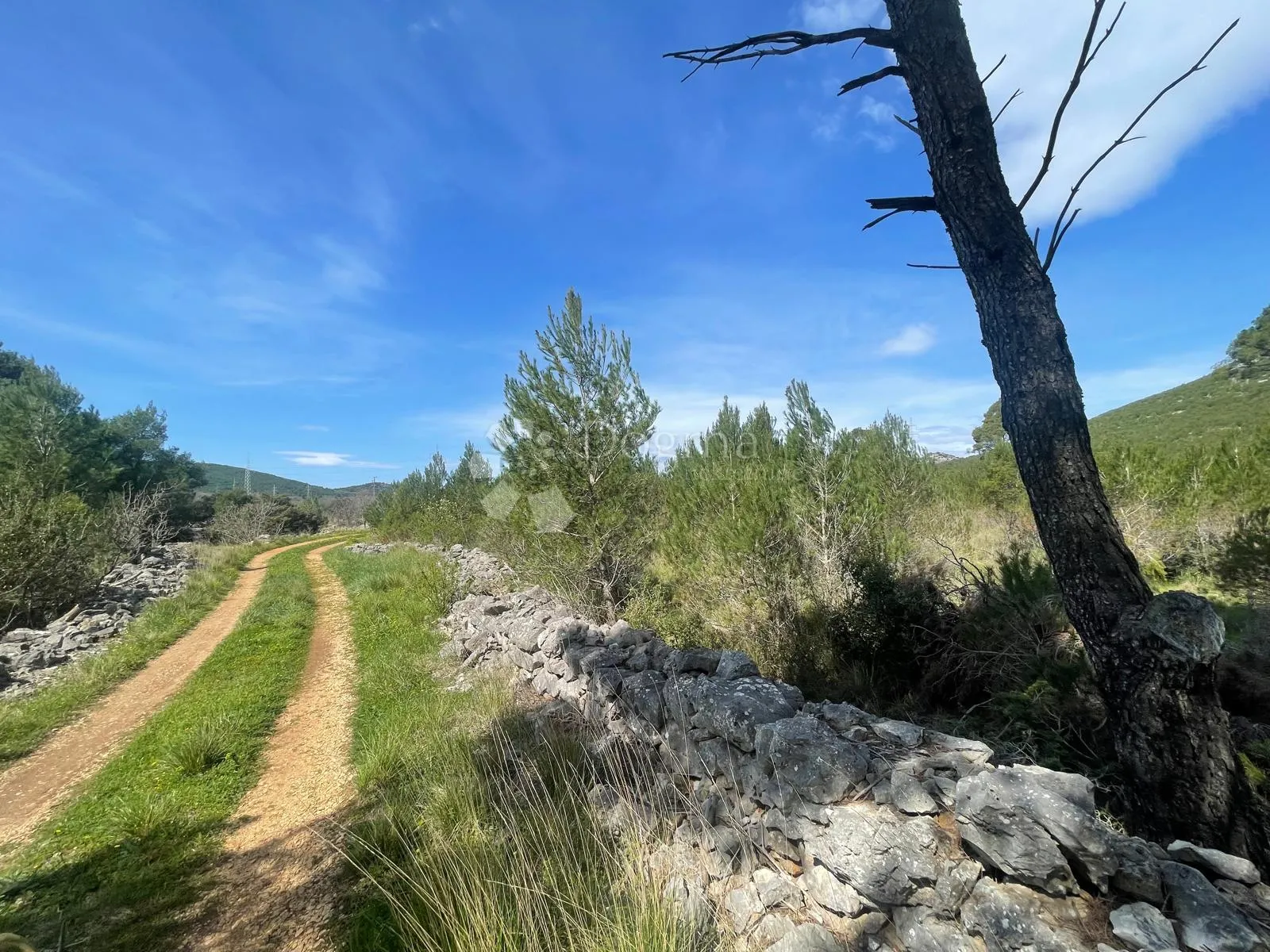 građevinsko zemljište 3.928 m2 dubrava pokraj šibenika - slika 6
