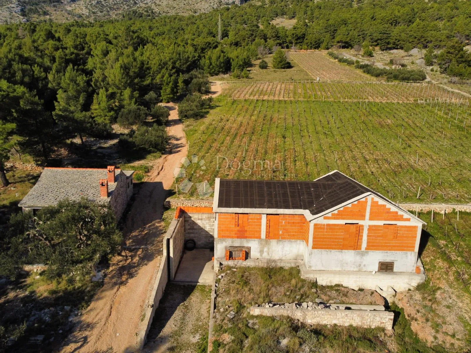 bol 2 kuće + vinograd od 9614m2 s top pogledom - slika 7