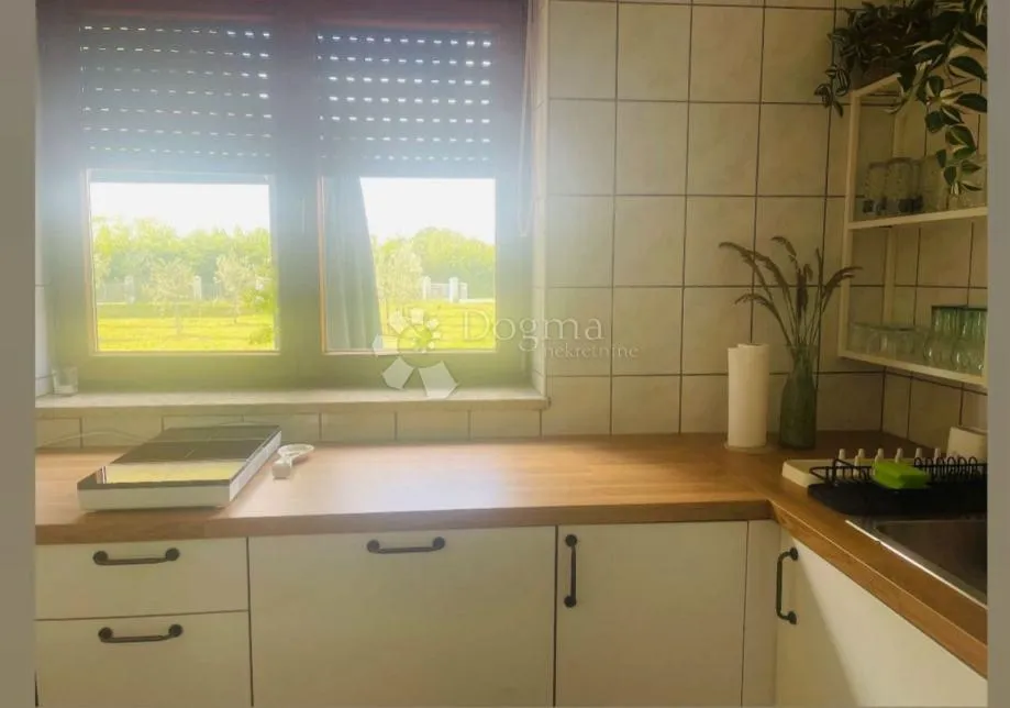 istra, šarmantna kuća blizu pule s prostranom parcelom i mogućnošću bazena - slika 4