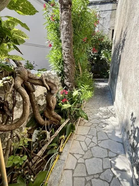 belveder,2s+db,62m2,prizemlje sa okućnicom - slika 16