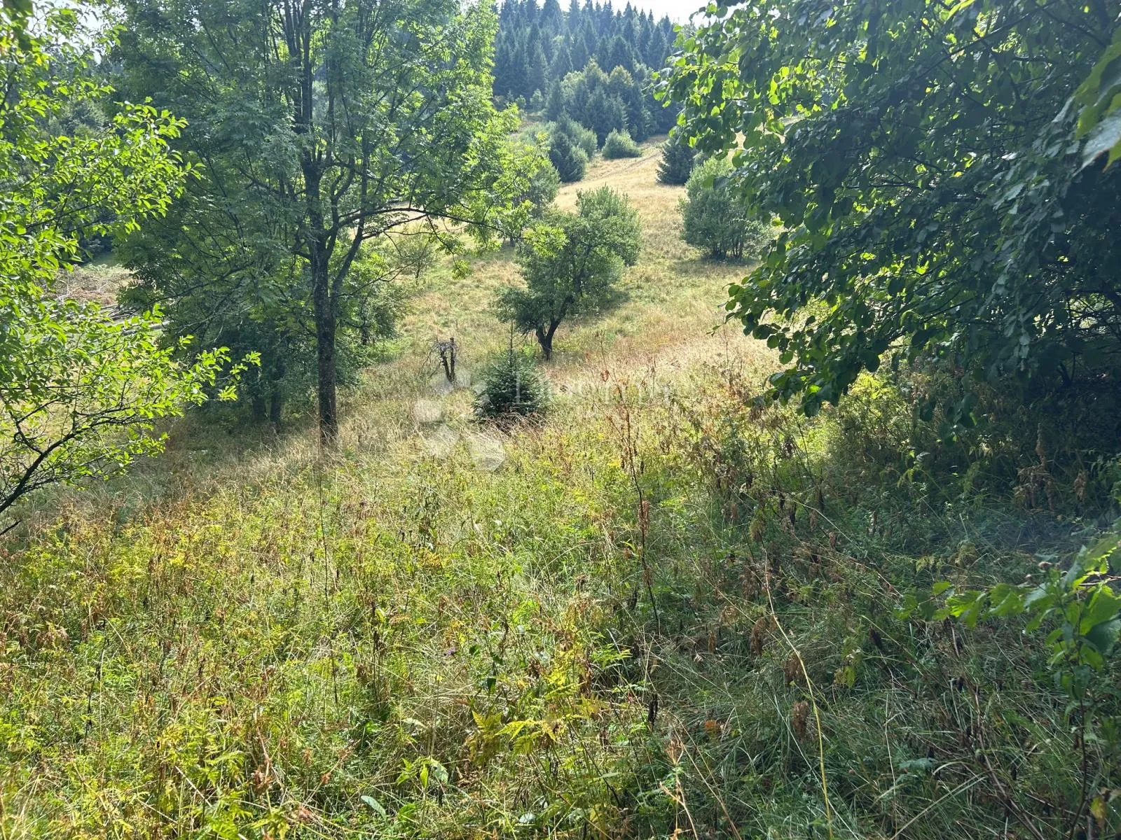 građevinsko zemljište velikog potencijala - slika 5