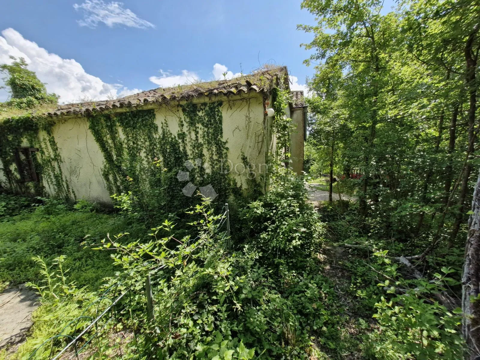 prekrasna starina za adaptaciju u okolici buzeta - slika 8