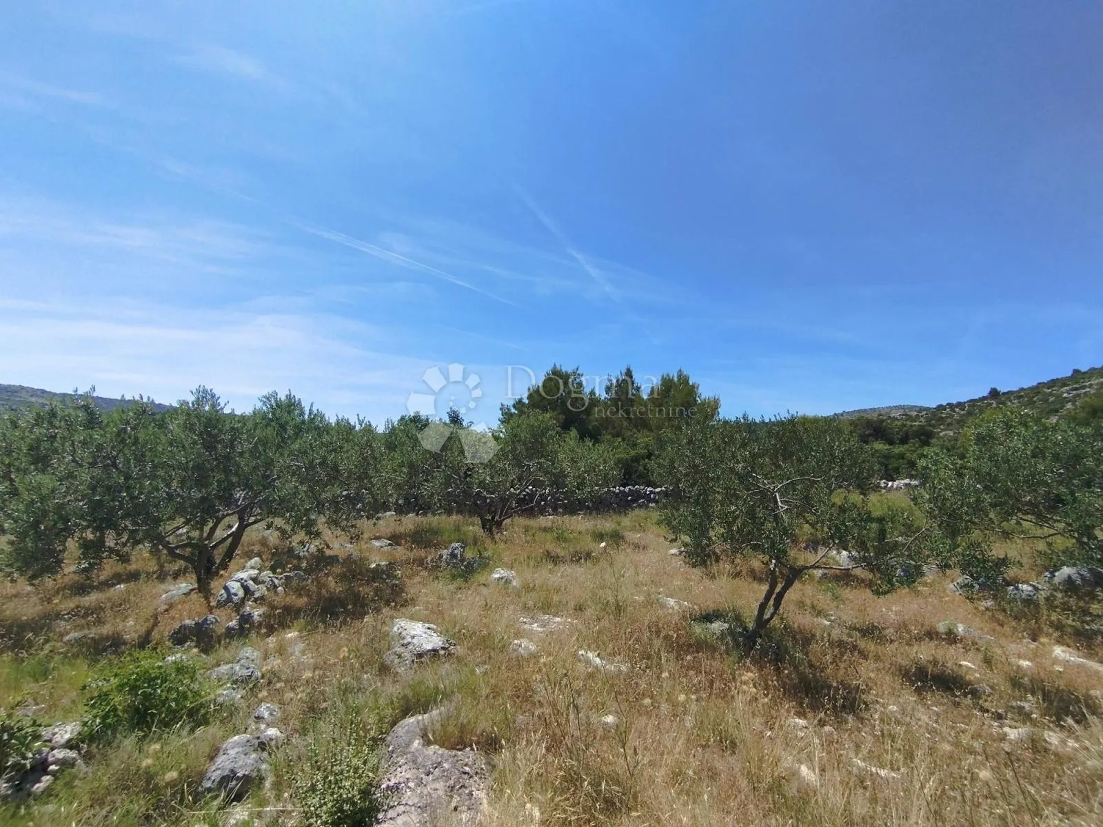 poljoprivredno zemljište marina -6000m2 - slika 2