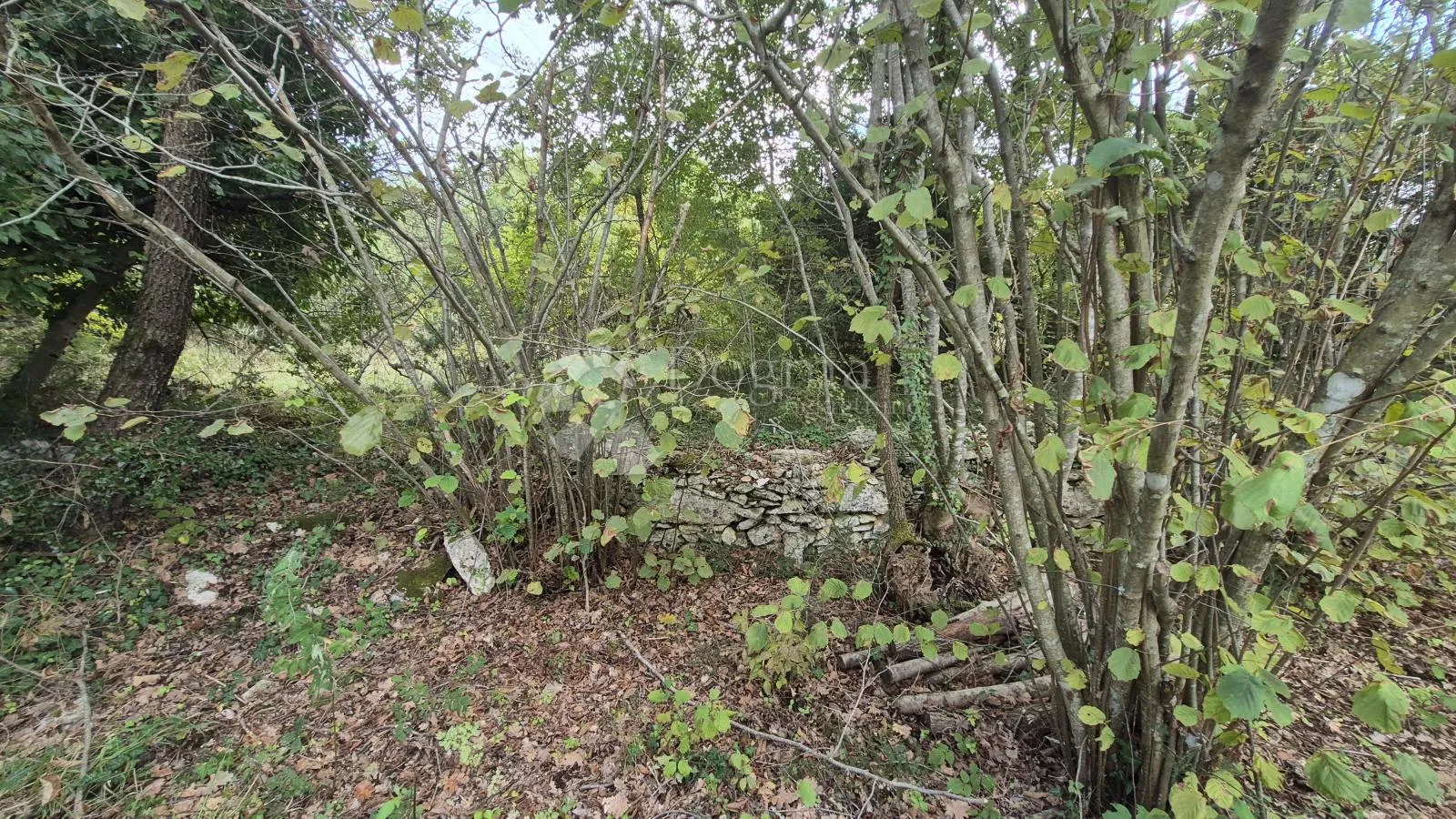 poljoprivredno zemljište sa kažunom površine 3550 m2 - slika 22
