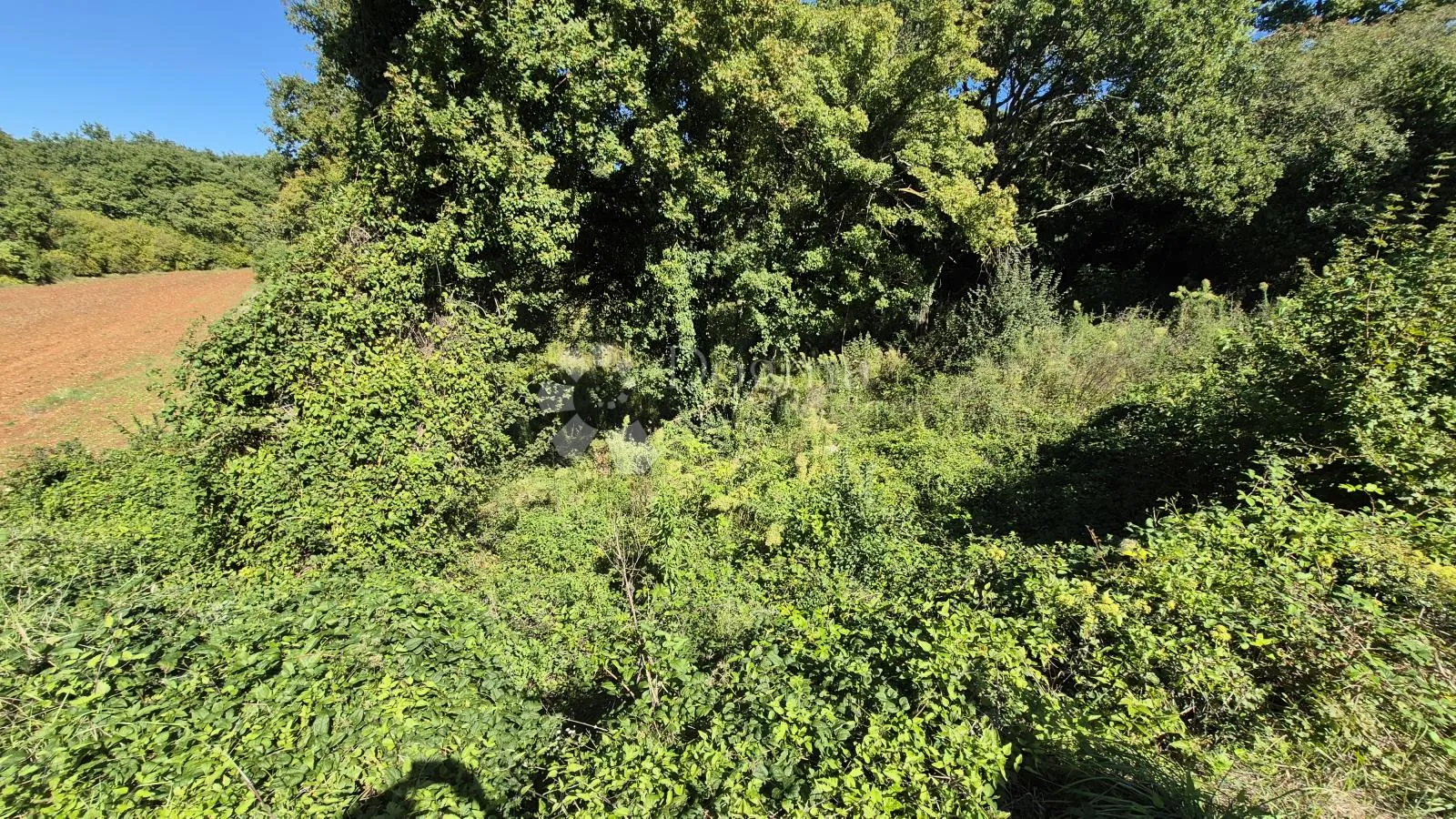 prodaje se poljoprivredno zemljište površine 1636 m2 u cukrićima - slika 4