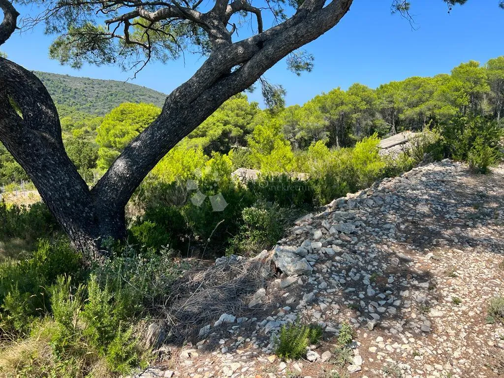 otok vis - izniman posjed s kamenom starinom za adaptaciju ! - slika 24