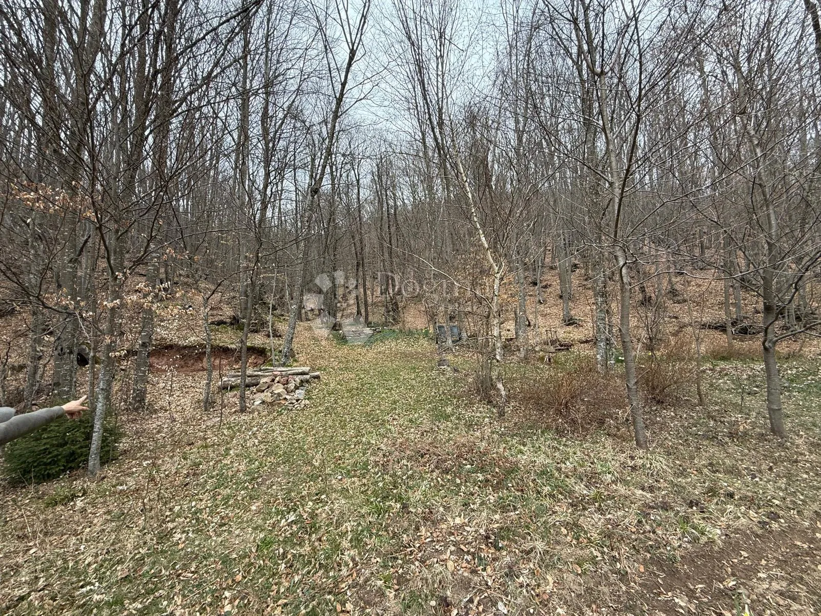 kuća 2 apartmana 2 građ zemljišta poljo 3000m2 - slika 24