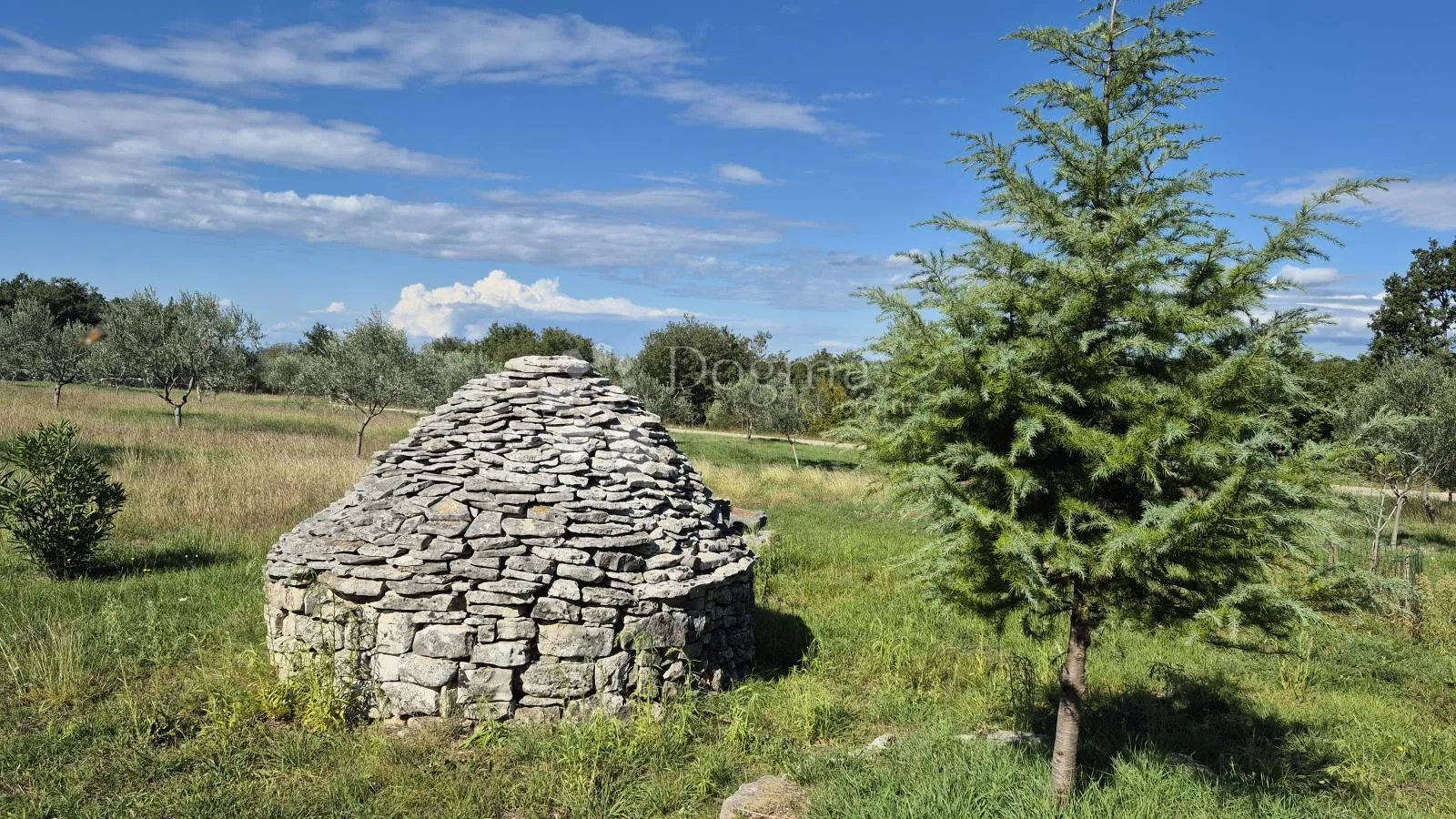 poljoprivredno zemljište sa istarskim kažunom i maslinama 13979 m2 - slika 21