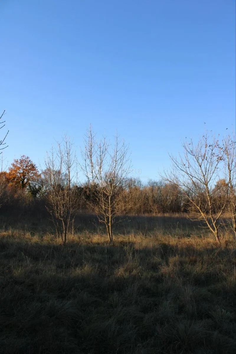 prostrano poljoprivredno zemljište uz cestu,kanfanar 13.000 m2 - slika 4