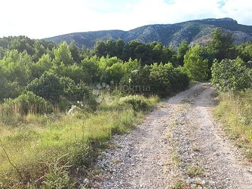 prodaje se – jedinstveno zemljište u bolu, otok brač (4.280 m²) - slika 2