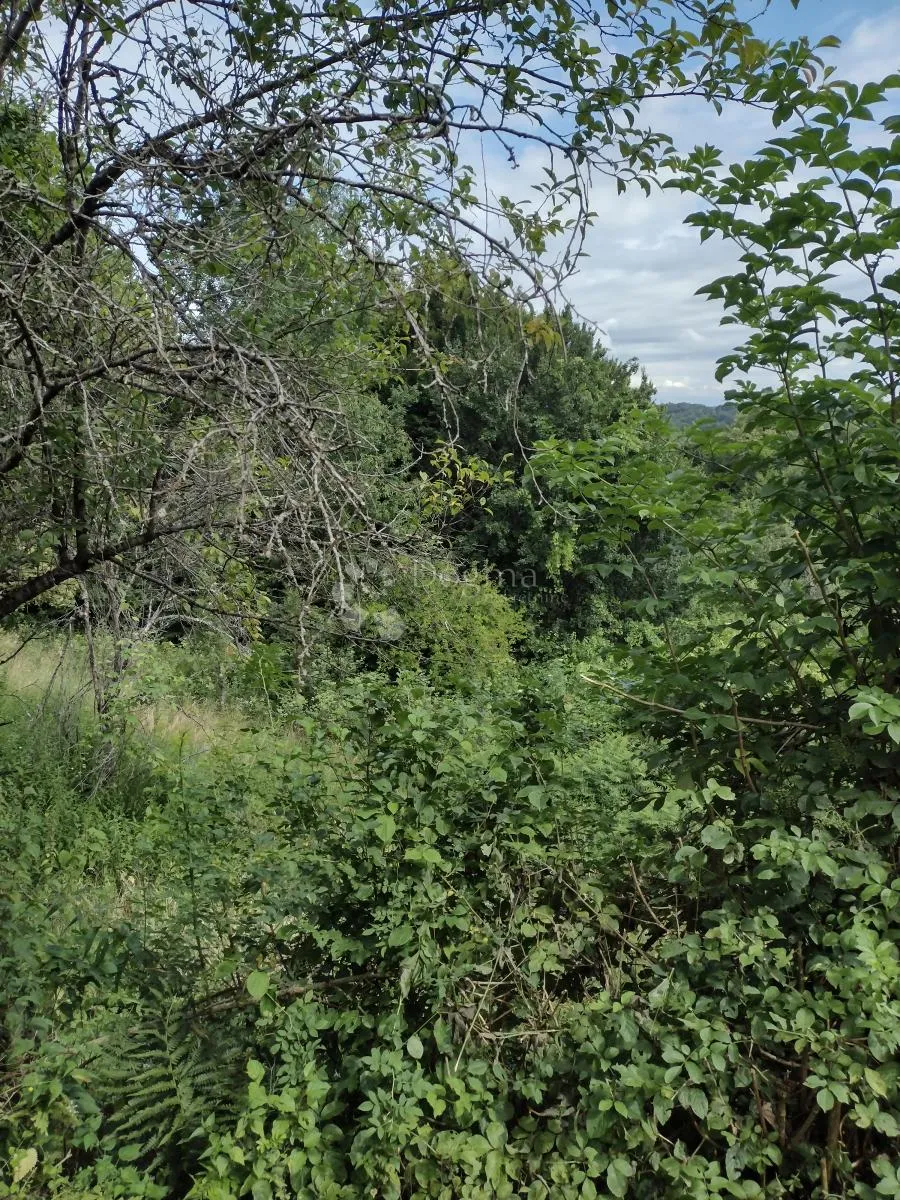 uredno održavane parcele - poticaj na košnju - slika 6