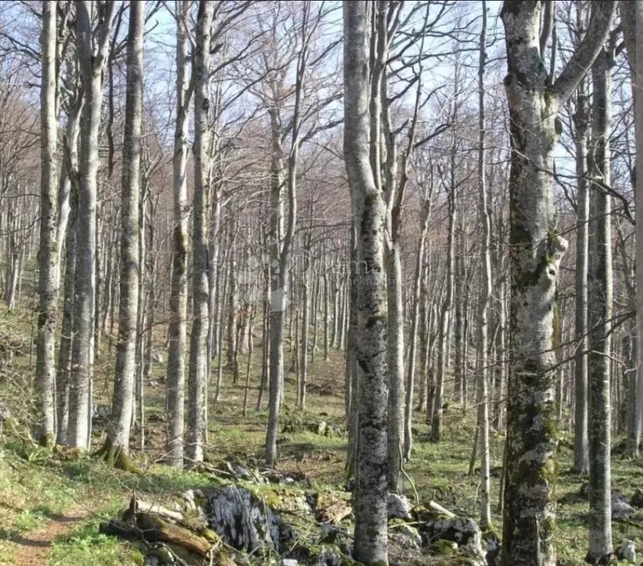 Poljoprivreno Zemljište - Vaganac Korenički - Gornji Vaganac, Plitvička Jezera
