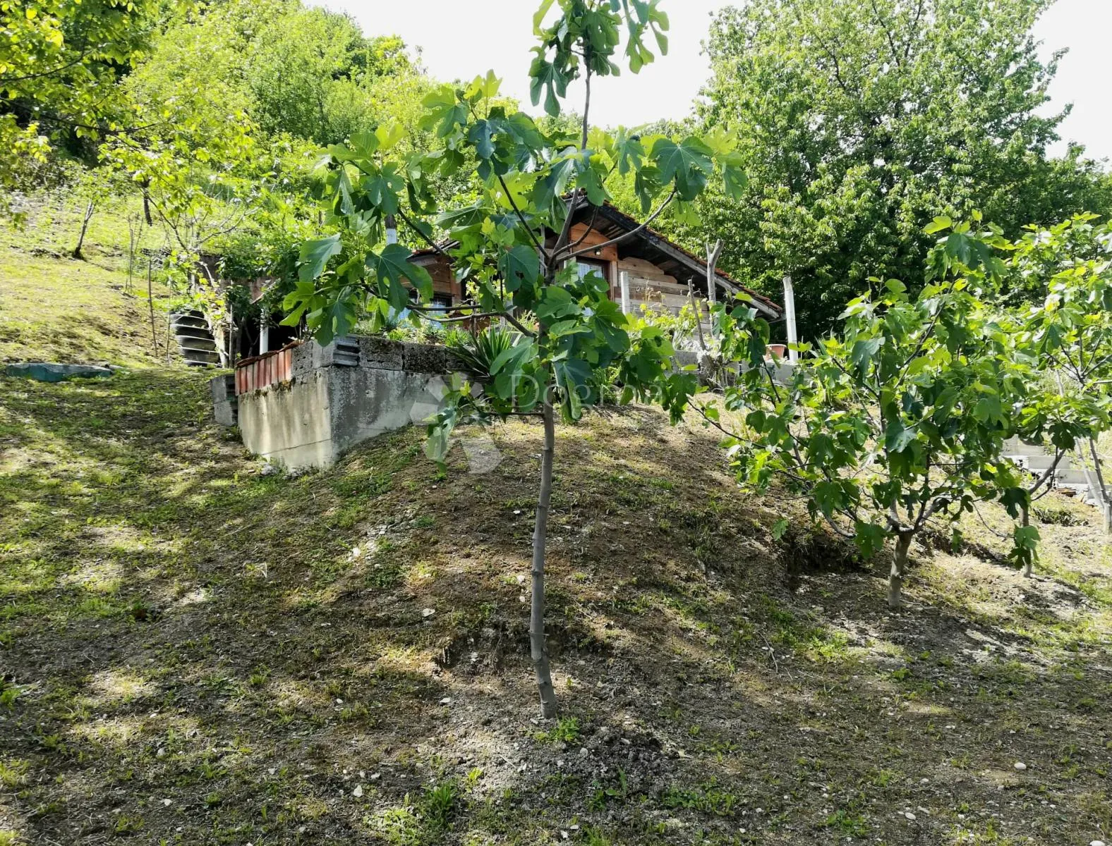 zelena oaza u svetoj nedelji za vikend druženja! prilika! - slika 14