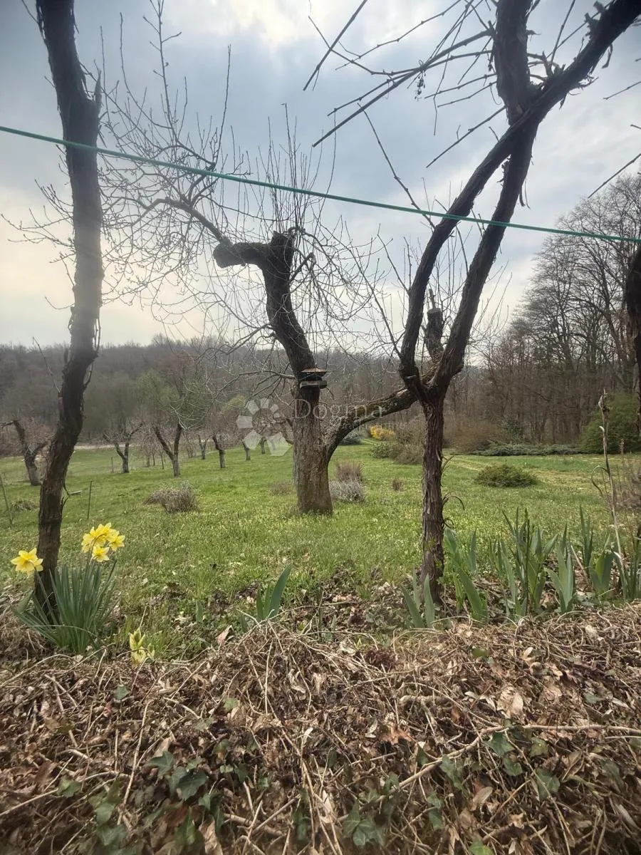 bajkovito imanje na osami u srcu prirode - slika 31
