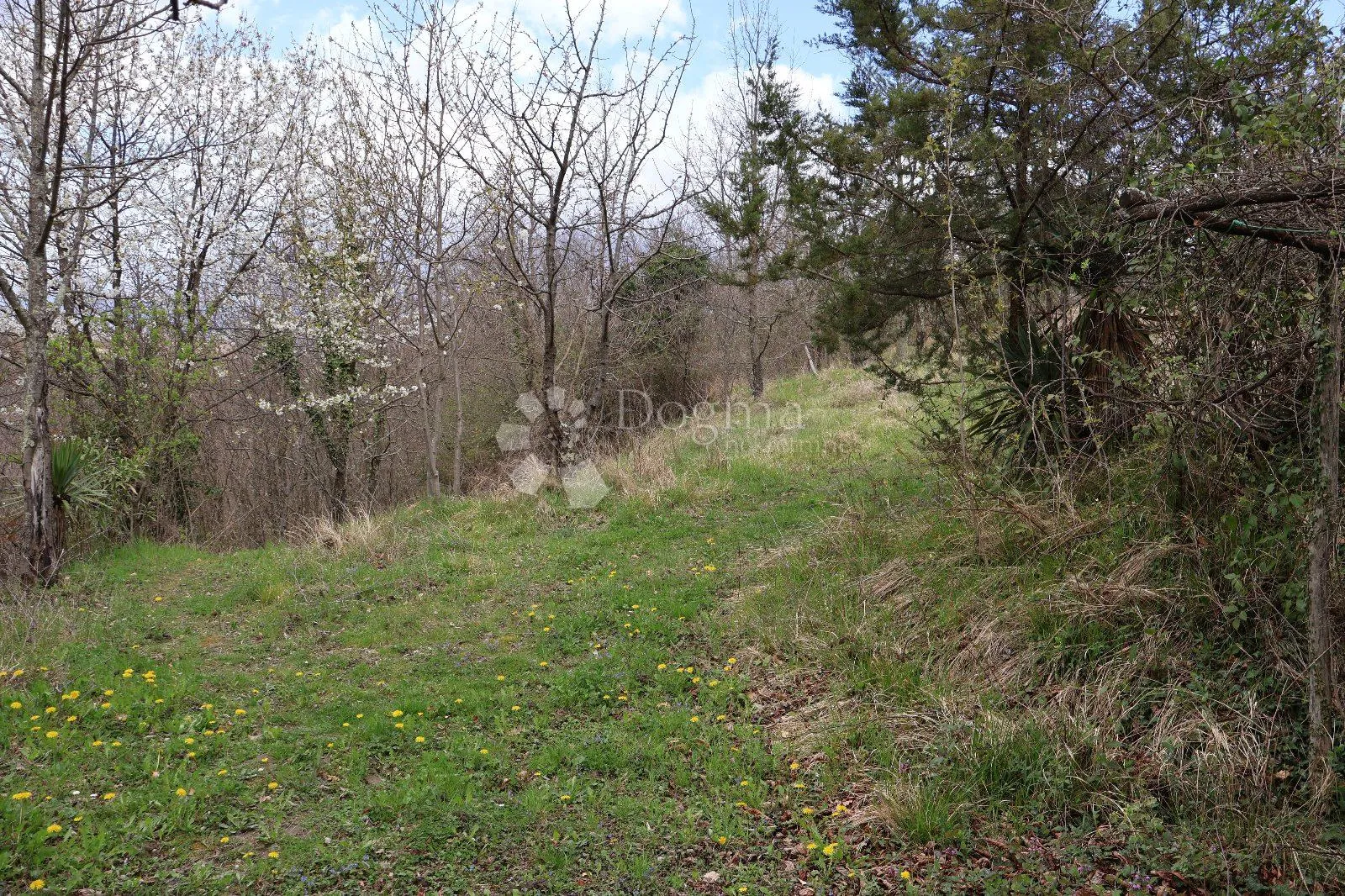 senzacionalno zemljište od 115 000 m² u istri - slika 9