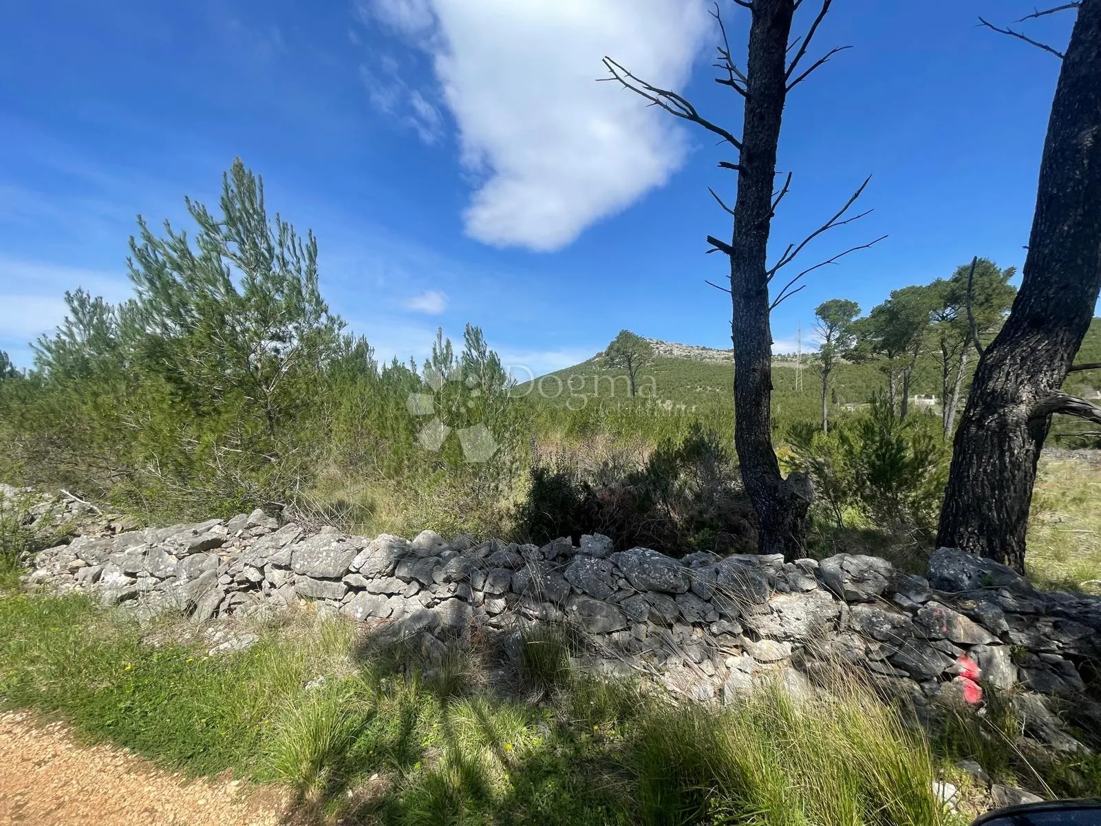 građevinsko zemljište 3.928 m2 dubrava pokraj šibenika - slika 7