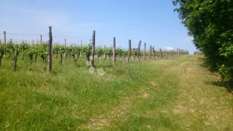 kutjevo - bajkovito imanje velikog potencijala - slika 8