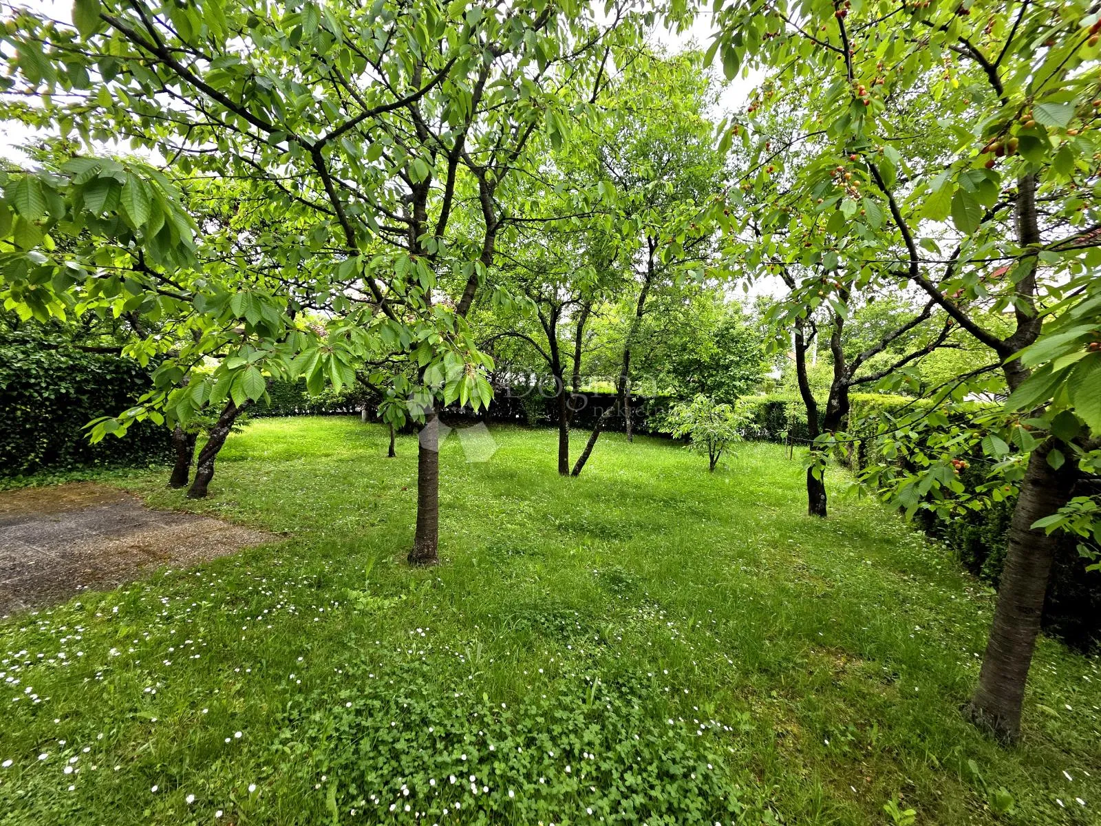 prodaja, kuća, karlovac, nkp 304m², švarča - slika 19