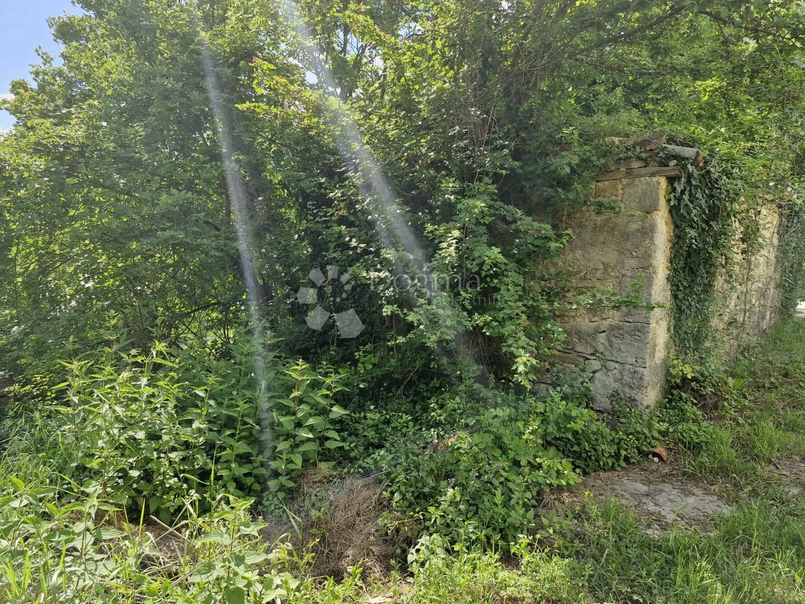 prekrasna starina za adaptaciju u okolici buzeta - slika 9