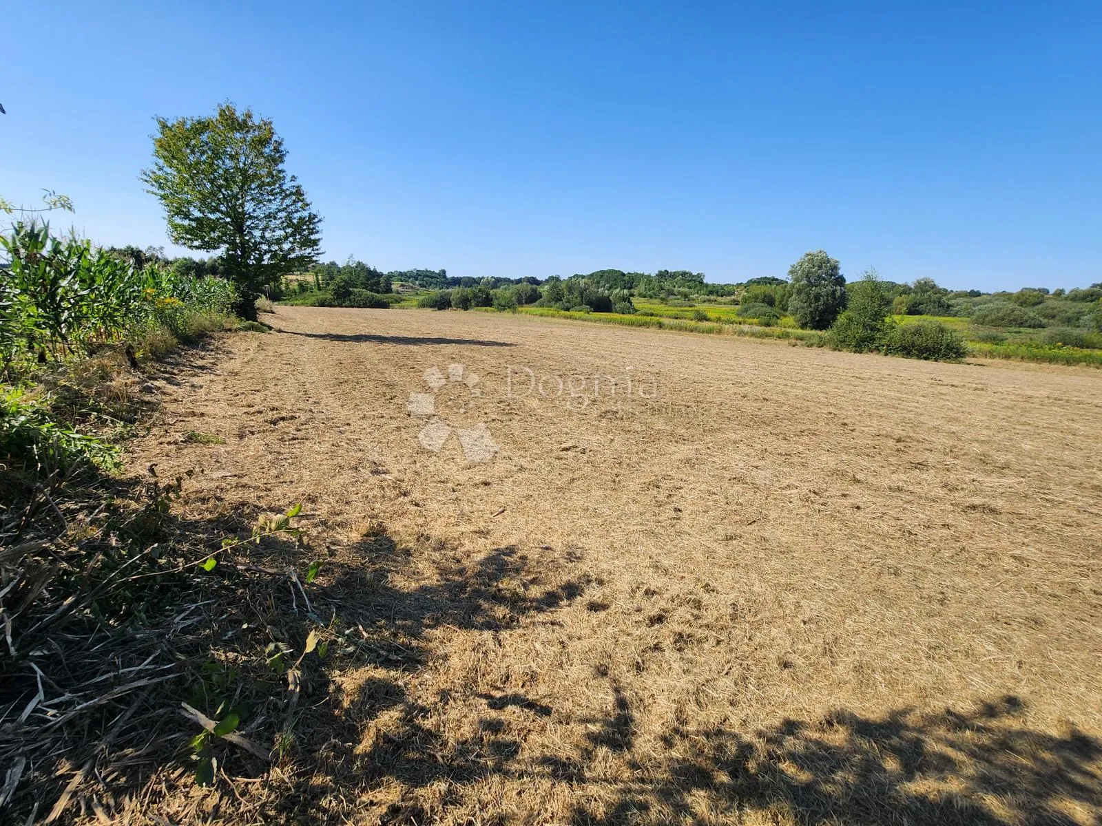 građevinsko zemljište 10.254m² svega 20 minuta od varaždina! - slika 4