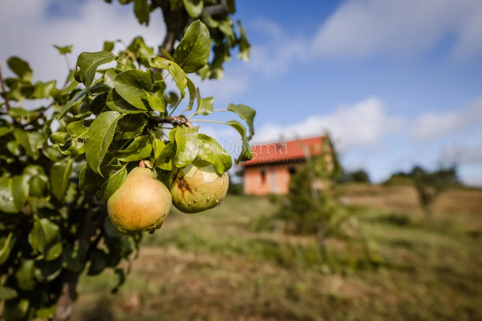 zeleni raj nadomak zagreba - slika 2