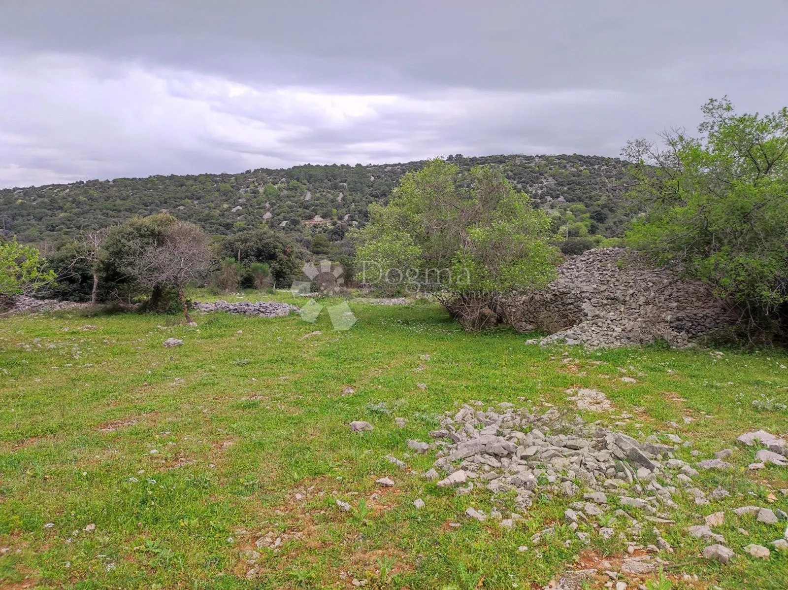 brač, selca – poljoprivredno zemljište 11.274 m² - slika 2
