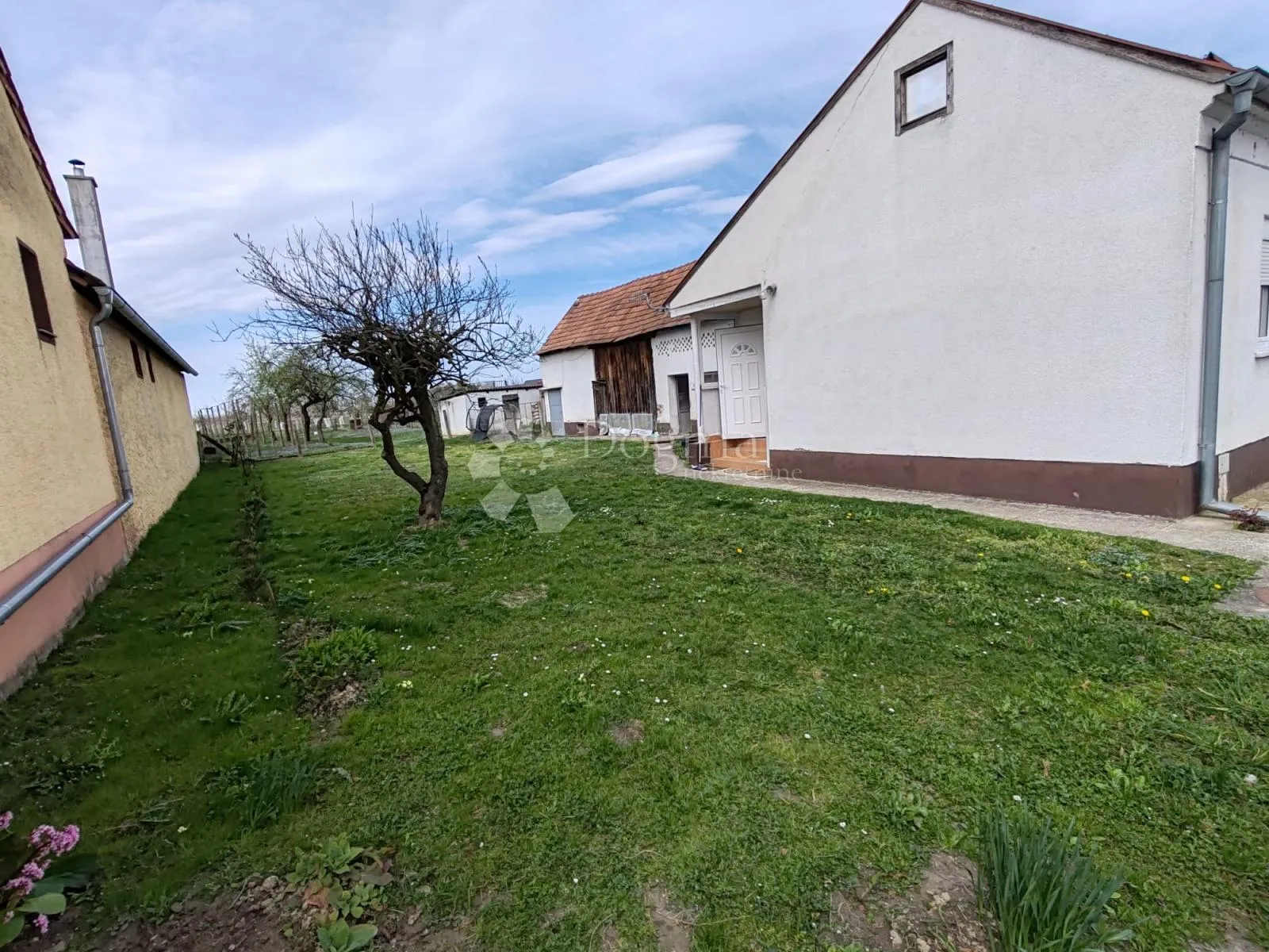 svibovec podravski – kuća 79 m² s pomoćnom zgradom i velikom okućnicom - slika 8