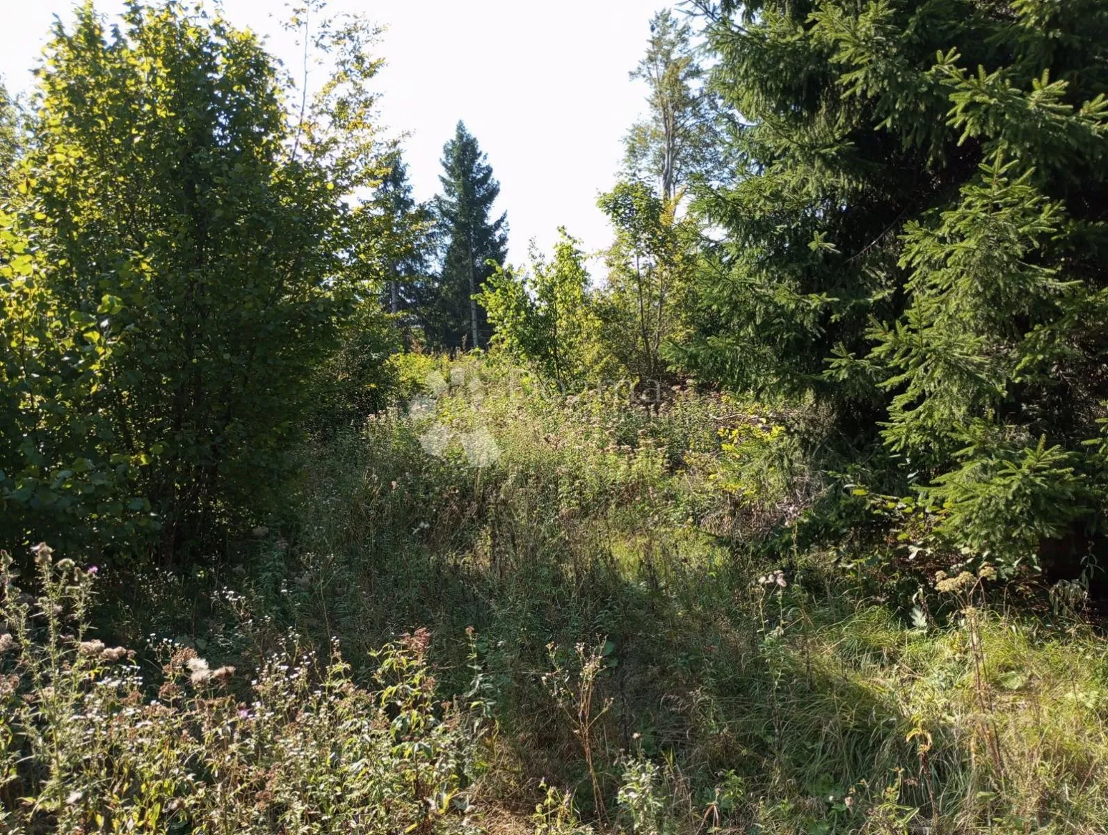 rijetka prilika gorski kotar, delnice 10.500 m2 zemljište za 9 a-frame vikendica - slika 17