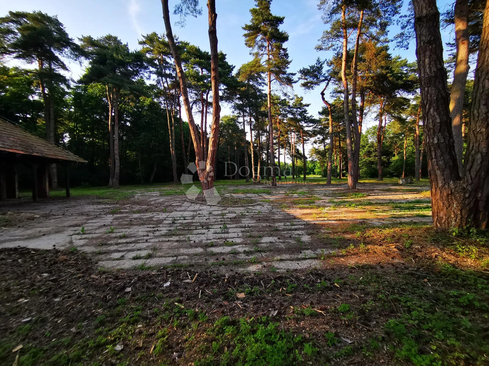top lokacija za turistički projekt - 5,4 ha - međimurje - slika 14
