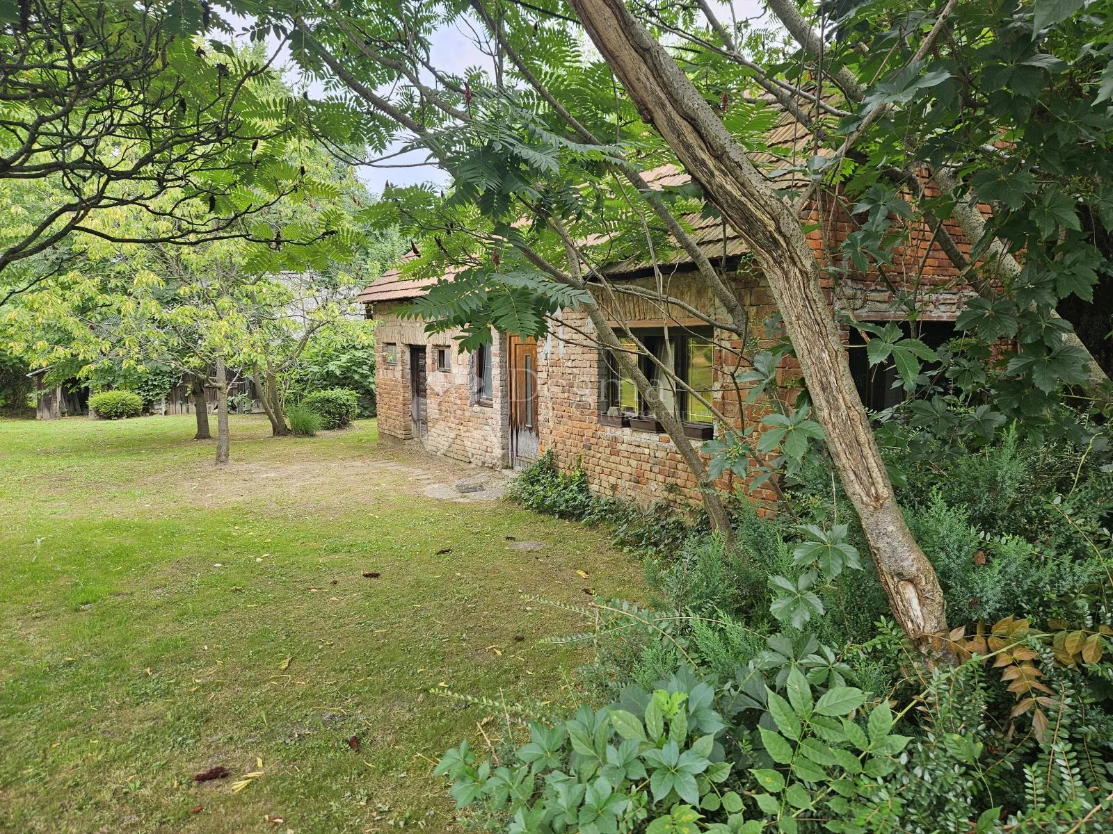 kuća s potencijalom u tužnom - slika 4
